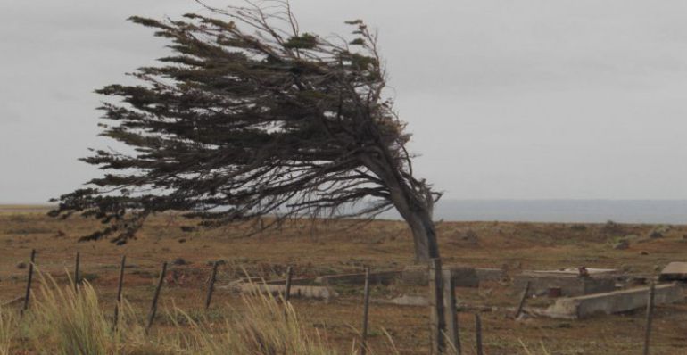 Advertencia por fuertes ráfagas de viento y frente frío que afectarán al país