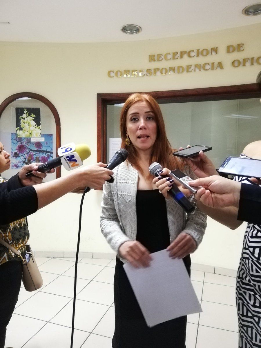 Diputada Felissa Cristales propone que miembros de la Fuerza Armada sean exentos del pago de la renta