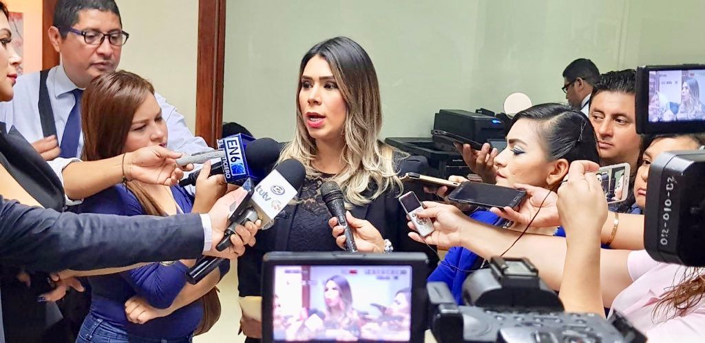 Diputada presenta propuesta para que procedimientos abreviados no apliquen en casos de corrupción