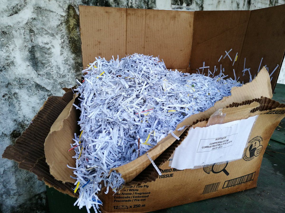 Documentos destruídos de la Secretaría de Inclusión son encontrados en basurero cerca de Residencia Presidencial