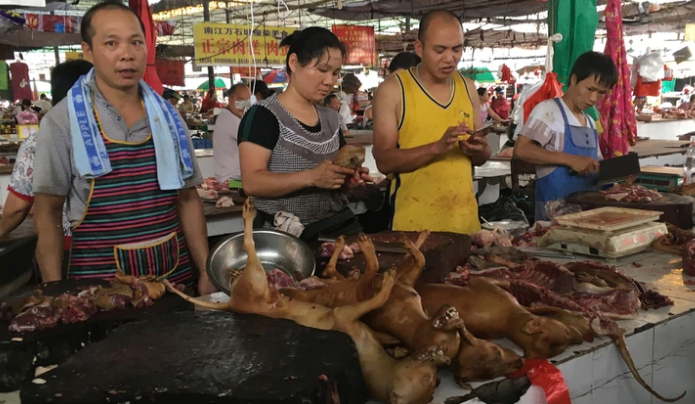 Yulín, el festival chino donde 10,000 perros son colgados y despellejados