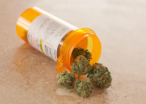 Diputado Francis Zablah propone legalizar la marihuana para fines medicinales