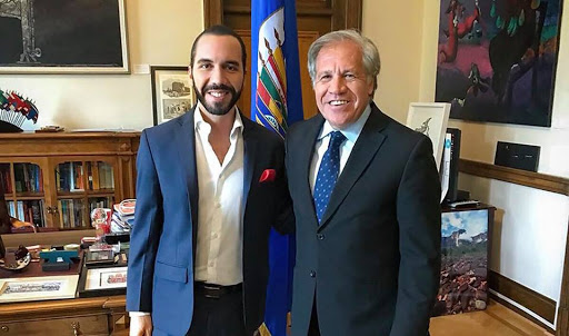 Exembajadora de EE.UU. en El Salvador cuestiona pasividad de la OEA en la militarización de la Asamblea ordenada por Bukele