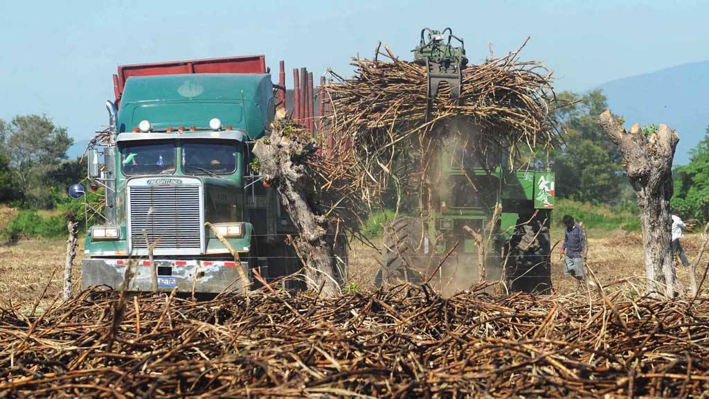El Salvador se queda sin TLC con Taiwán y pierde la cuota anual de 80,000 toneladas métricas de azúcar que podía exportar sin pagar aranceles