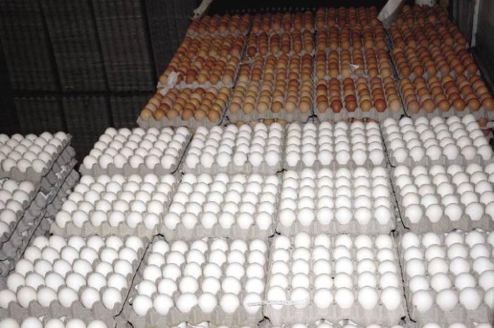 Se dispara el precio de los huevos en el país, cartón se acerca a los $6 dólares