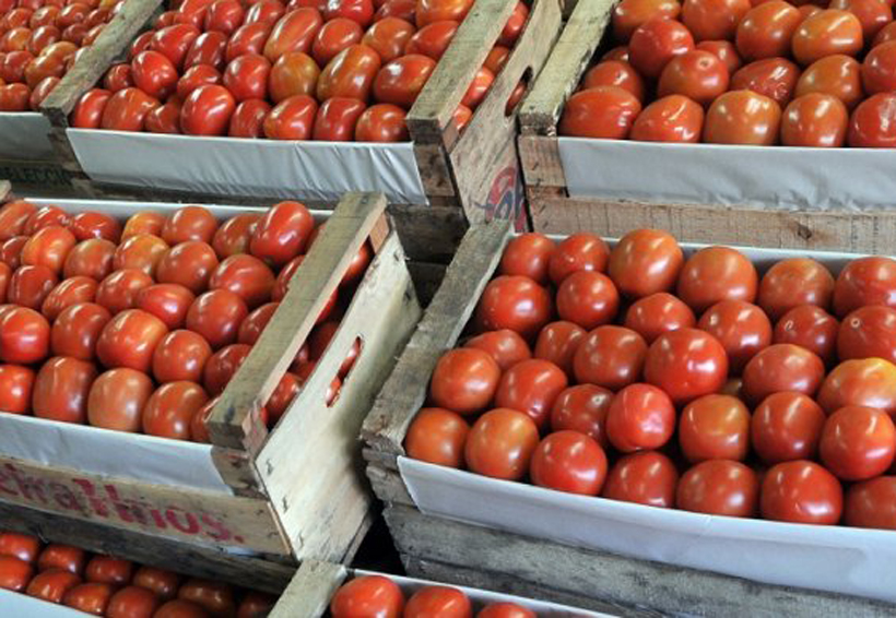 Se dispara el precio del tomate, en un año la caja ha subido más de $13 dólares