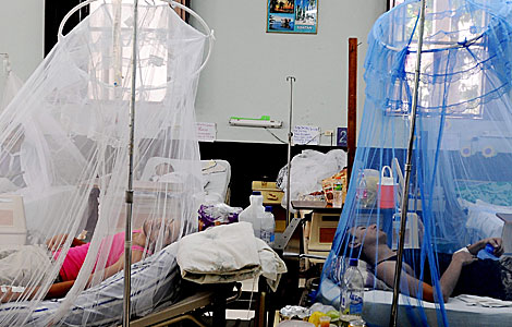 Confirman tercer fallecimiento por dengue en El Salvador y decretan alerta epidemiológica