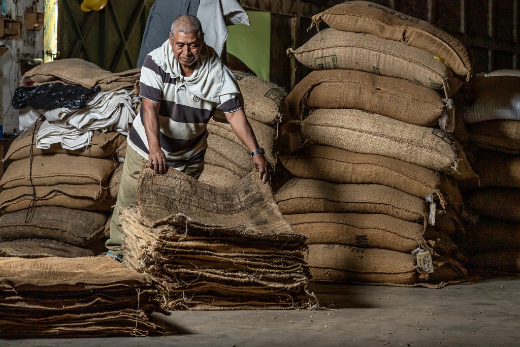 Exportaciones de Café se derrumban un 31.4% en El Salvador