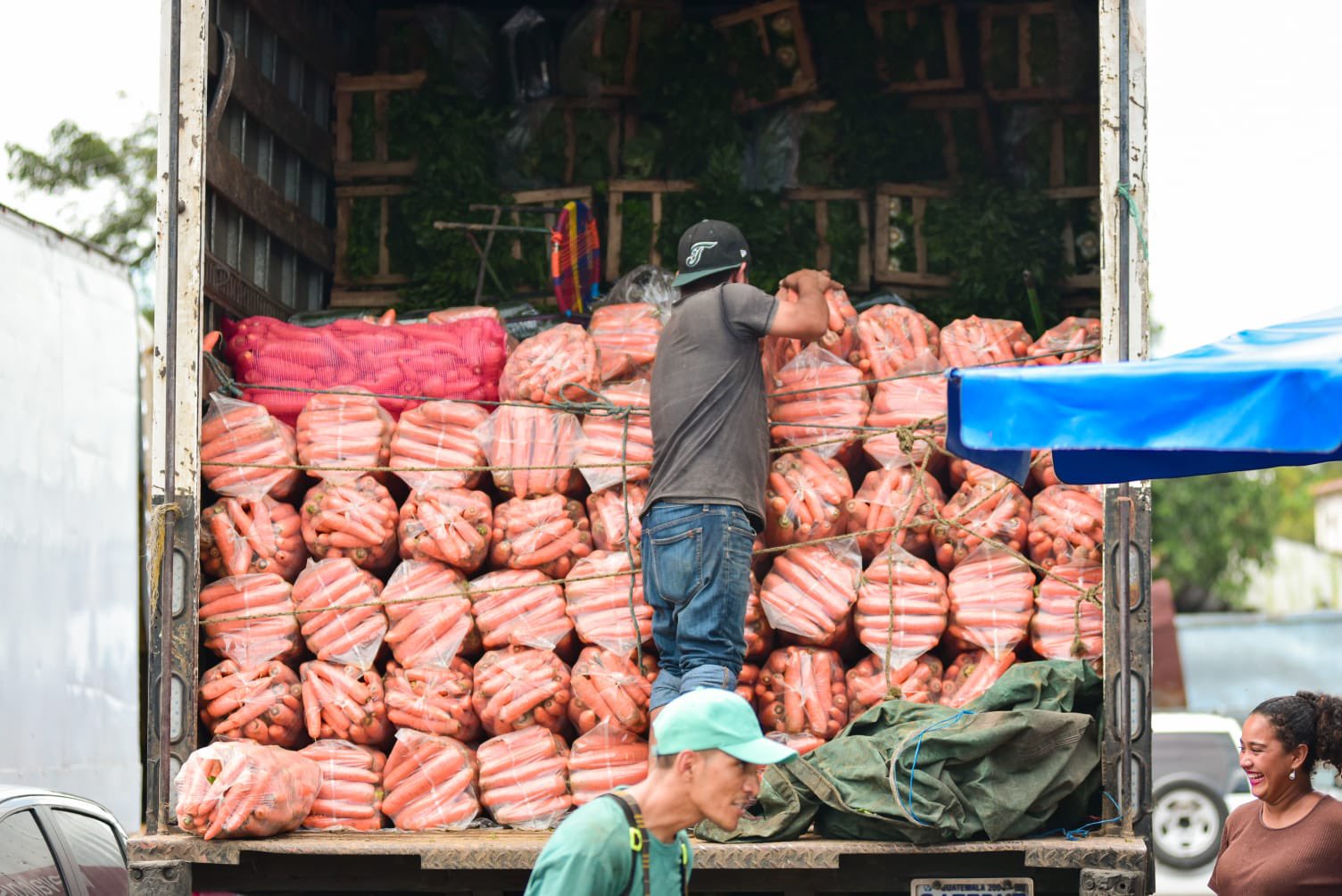 El Salvador incrementa en 35% la importación de hortalizas en 10 años, afectando la producción local y encareciendo la canasta básica