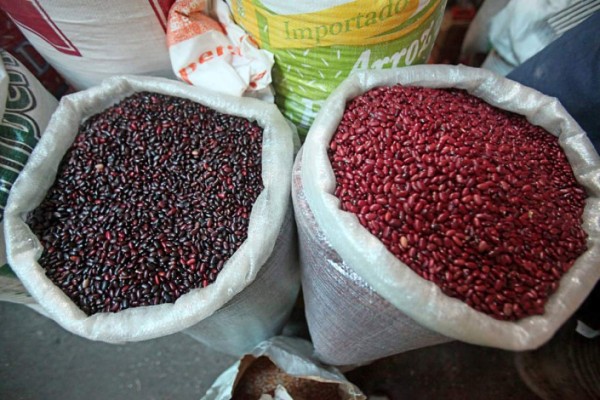 Productores alertan que la cosecha nacional de frijol está en crisis y no cubre la demanda