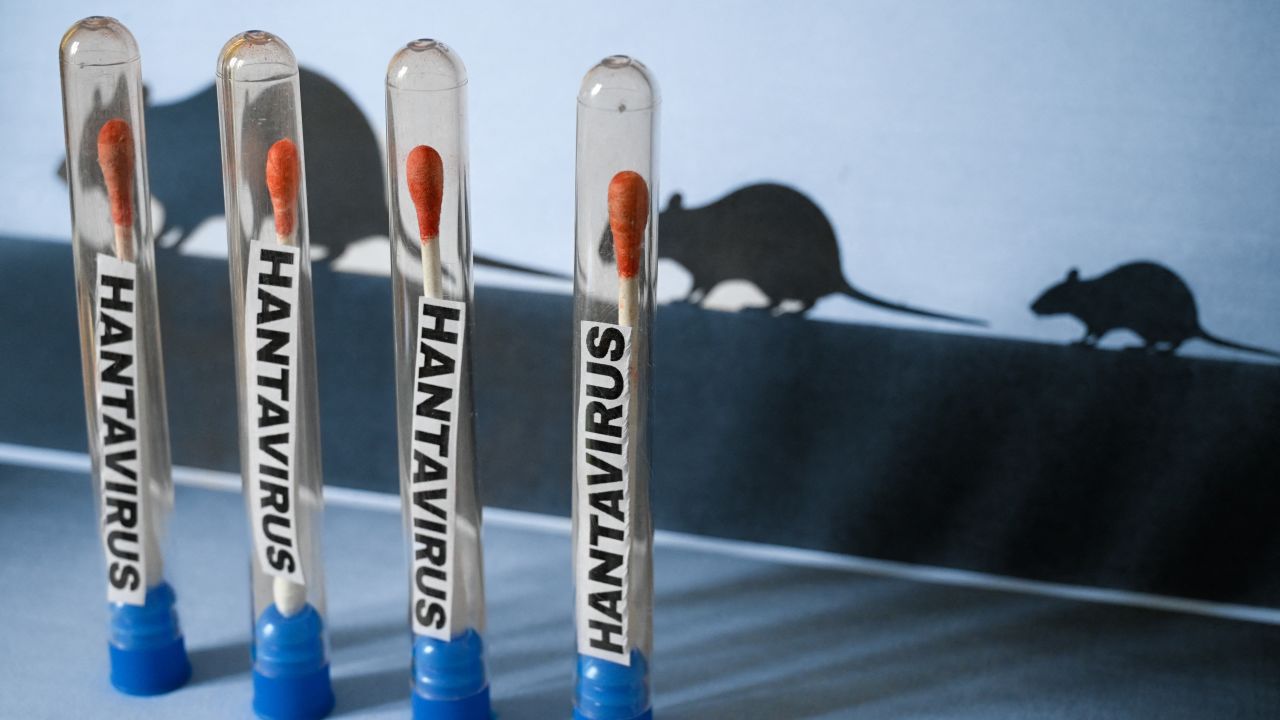 OMS descarta que brote de hantavirus pueda convertirse en una pandemia como el COVID-19