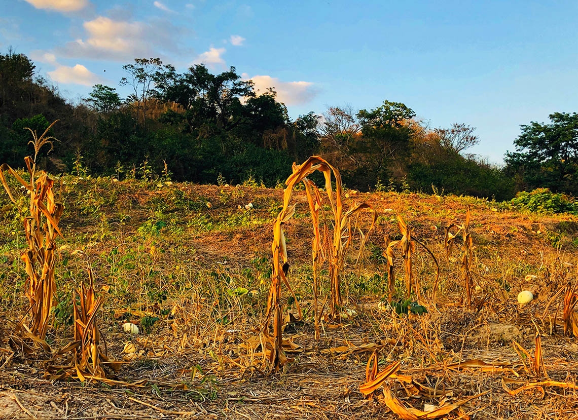 Sequía golpea a Honduras y ONU moviliza $80 millones para atender la crisis